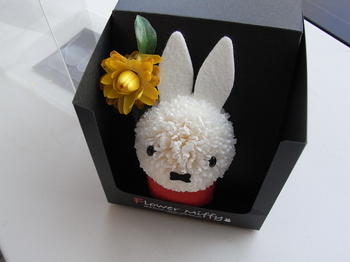 flower miffy miffy