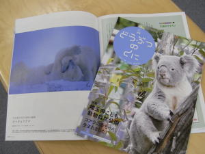 「どうぶつのくに」