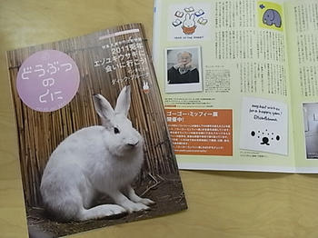 「どうぶつのくに」うさぎ年特集号