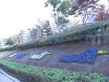 お花めぐり