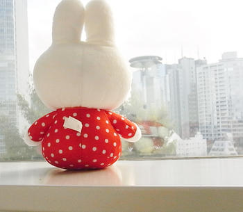 ラブリードットmiffy - dickbruna.jp 日本のミッフィー情報サイト