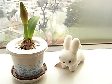 伸びてゆく頃