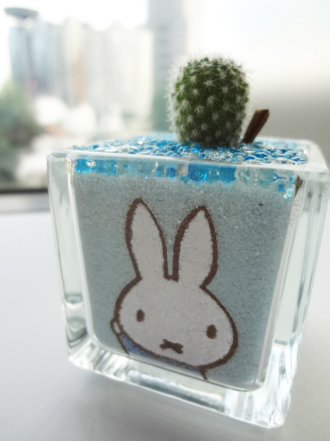 miffy styleのグッズで涼しげに