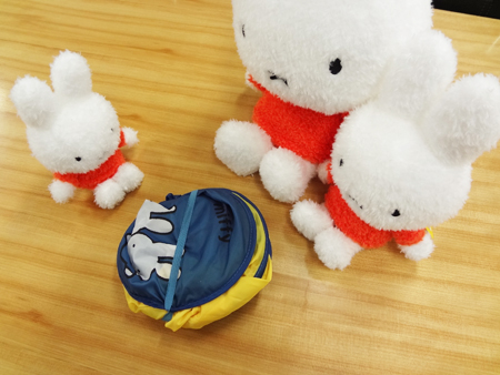 小さくて、大きいバスケット