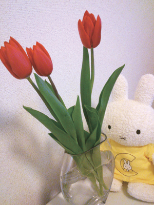 お花のかおり