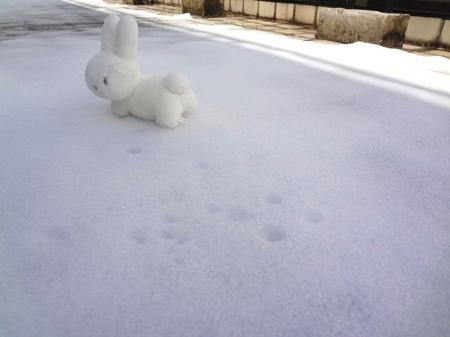 なごり雪