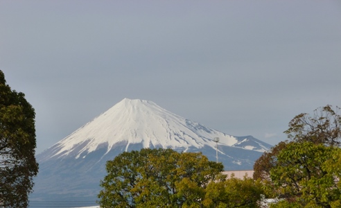 富士山とミッフィー