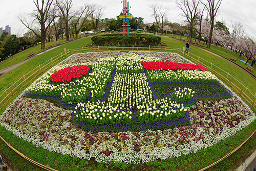 静岡市　駿府城公園に「ニオくん」の花壇が登場