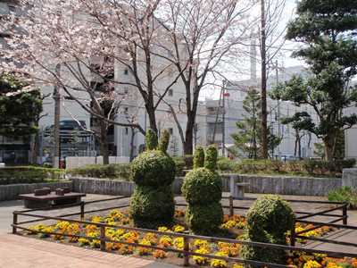 色とりどりの花々