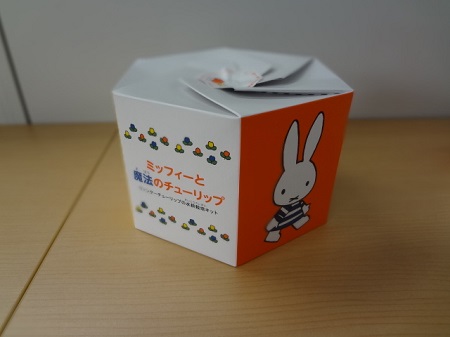ウィンターチューリップ