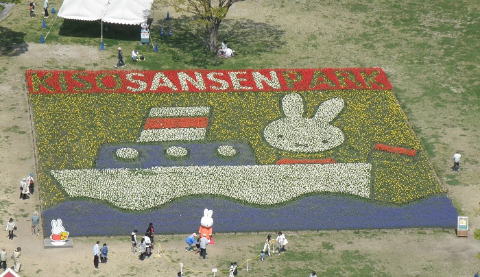 4/4-4/19　国営木曽三川公園「チューリップ祭2015 in かいづ」