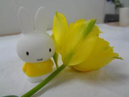 春ですね。