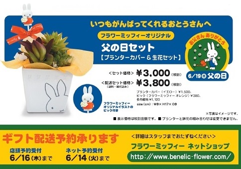 Flower Miffy 「父の日ギフト」 ご注文受付中