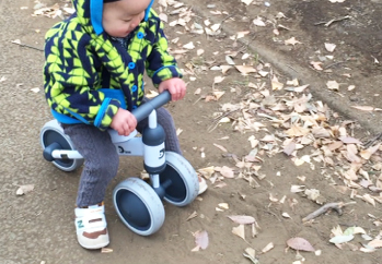 d bike mini