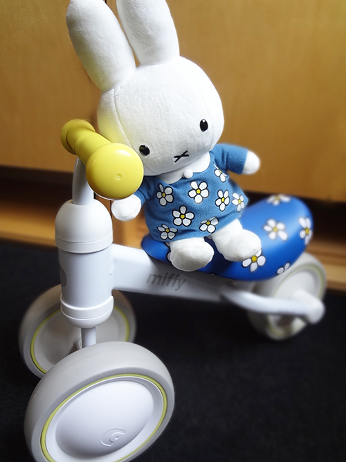 d bike mini