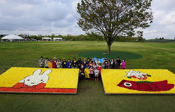 国営越後丘陵公園にミッフィーの花絵