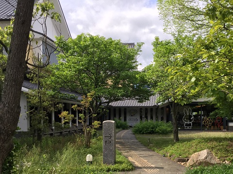 ばらのまちで「お花畑」展を
