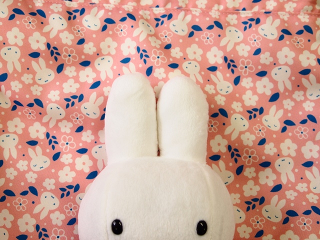 6/17～ 「miffy's Birthday 2017」フェア はじまります