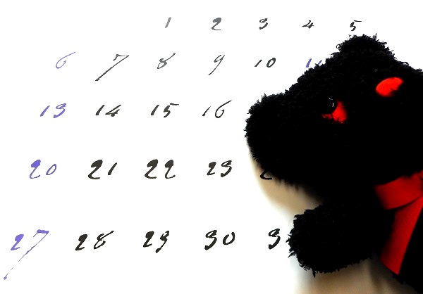 クマのぬいぐるみ