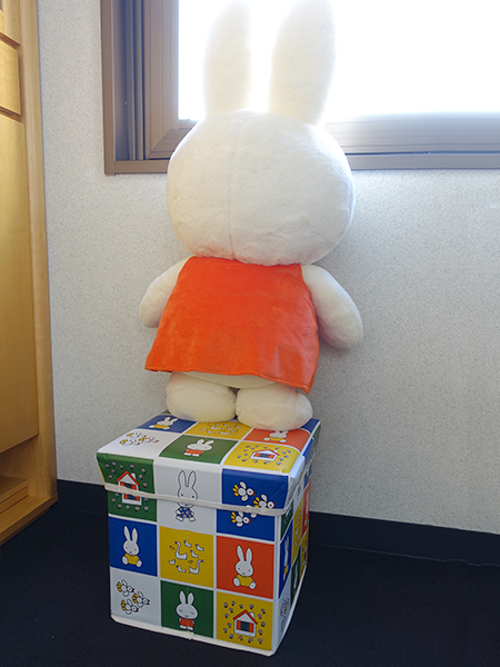 salut！サリュ×miffy ミッフィー ほしいものリスト - dickbruna