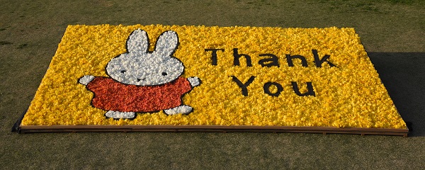 国営越後丘陵公園にミッフィーの花絵