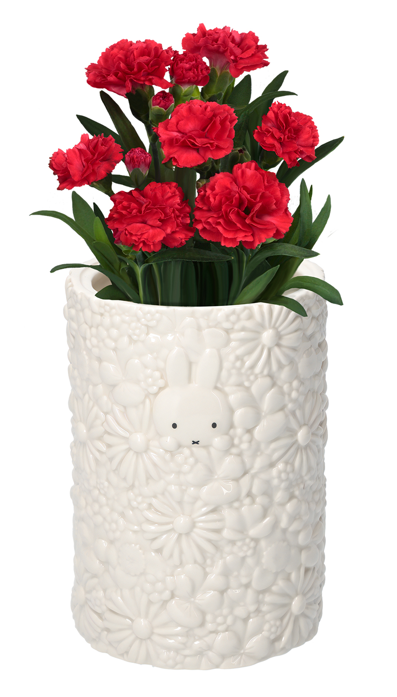 Flower Miffy 母の日フラワーギフト