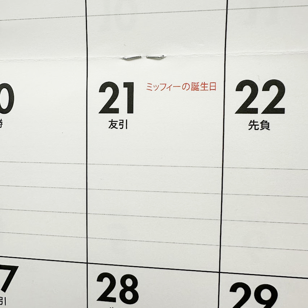 お誕生日おめでとう、ミッフィー