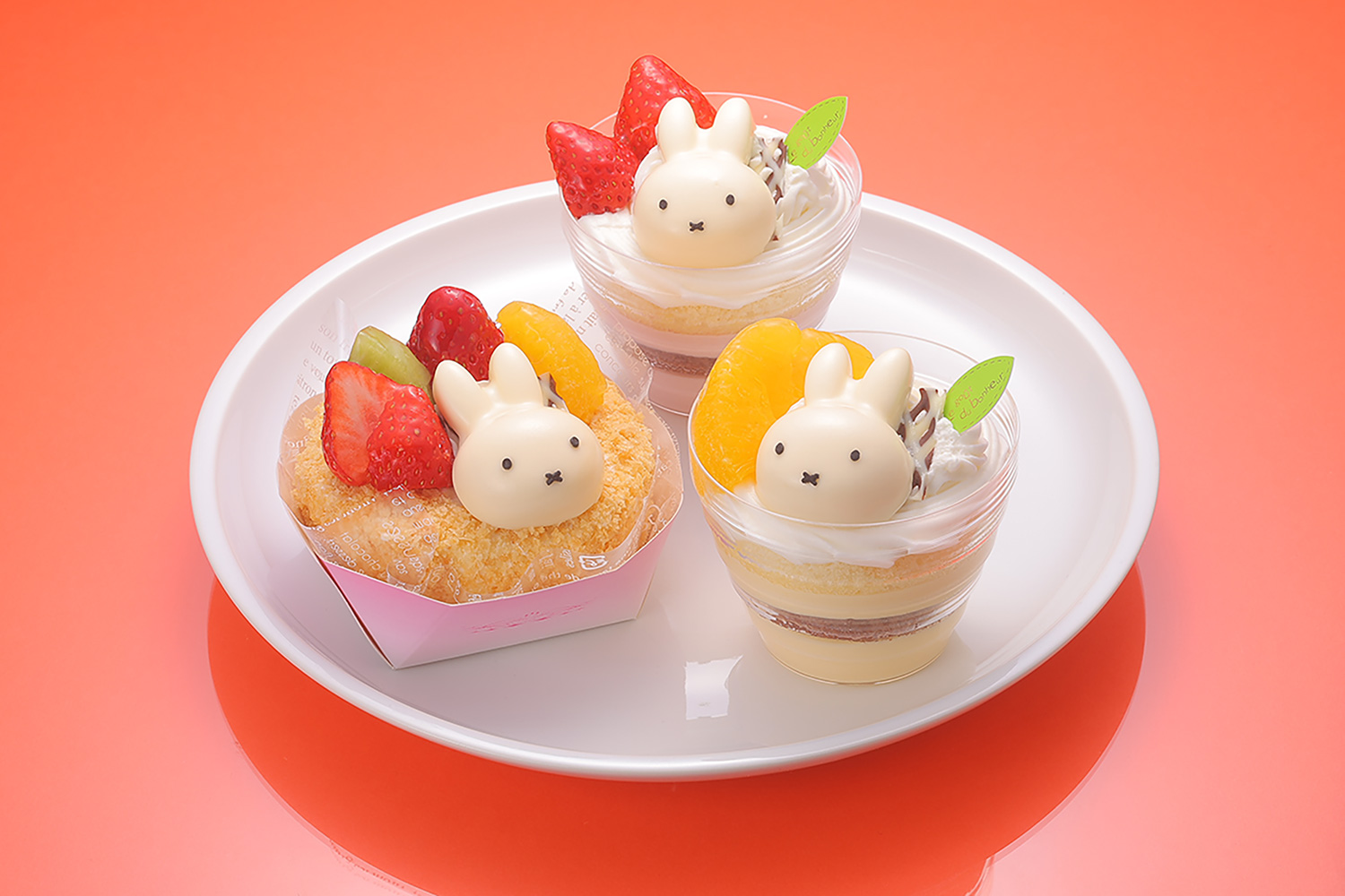 ミッフィーケーキ（オランダ家）