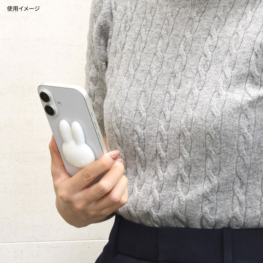 モバイルアクセサリー（グルマンディーズ）