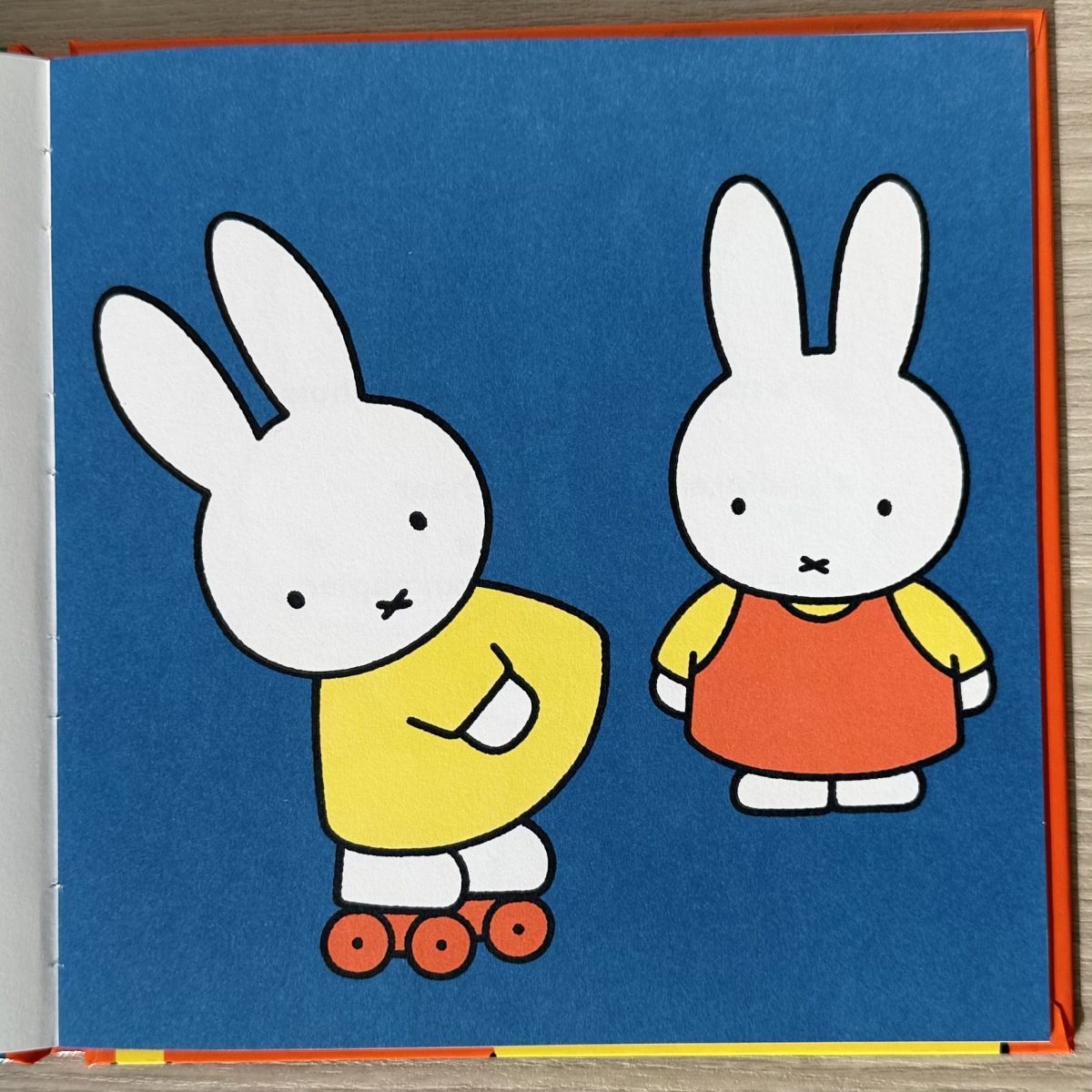 コラム_ブルーナ・カラー