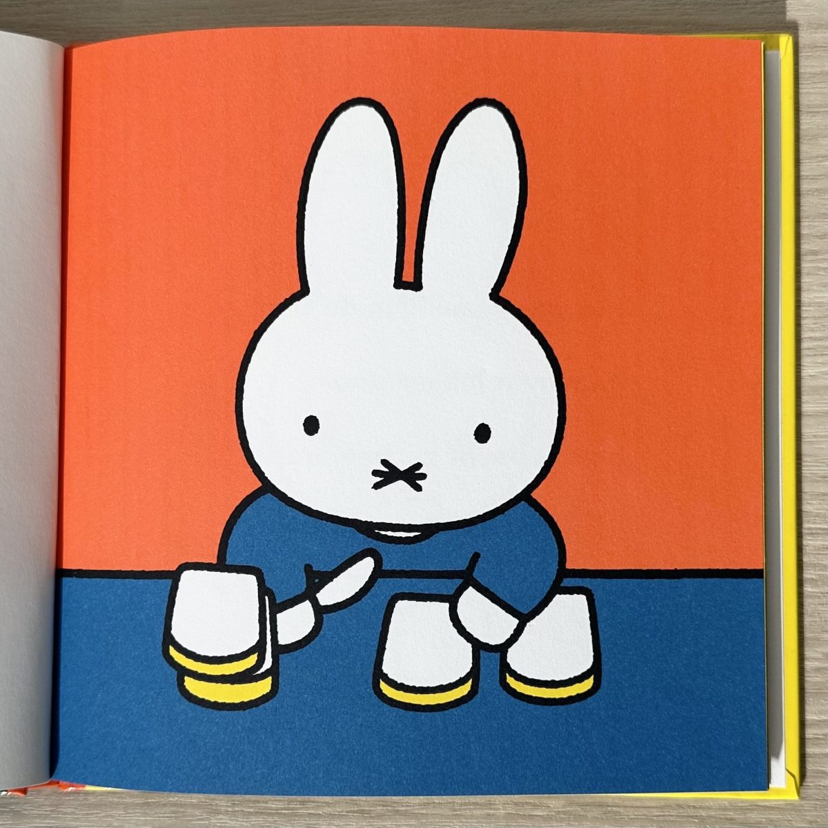 コラム_ブルーナ・カラー