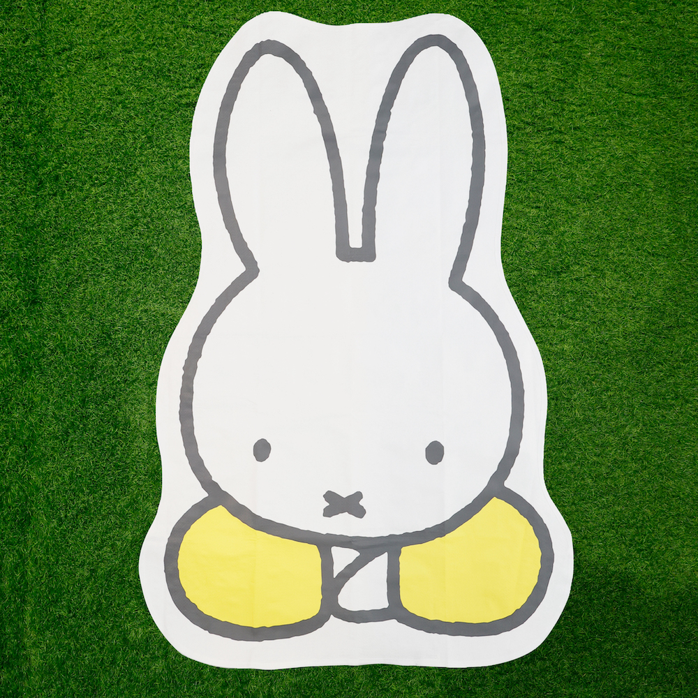 ダイカットレジャーシート（丸眞）